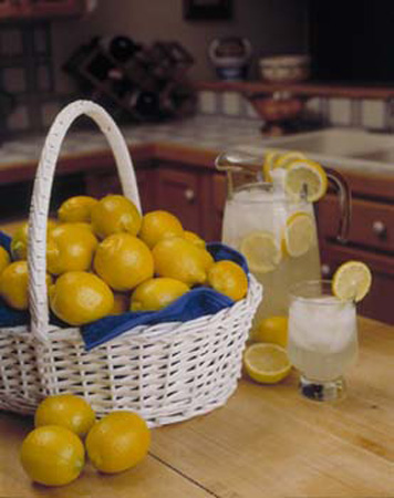 Lemons for lemonaid