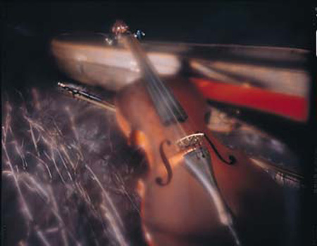 Violin